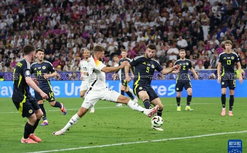 杏盛注册登录官网京东透视：体育竞技场外的经济价值与未来趋势——一项全面运动赛事收益分析报告