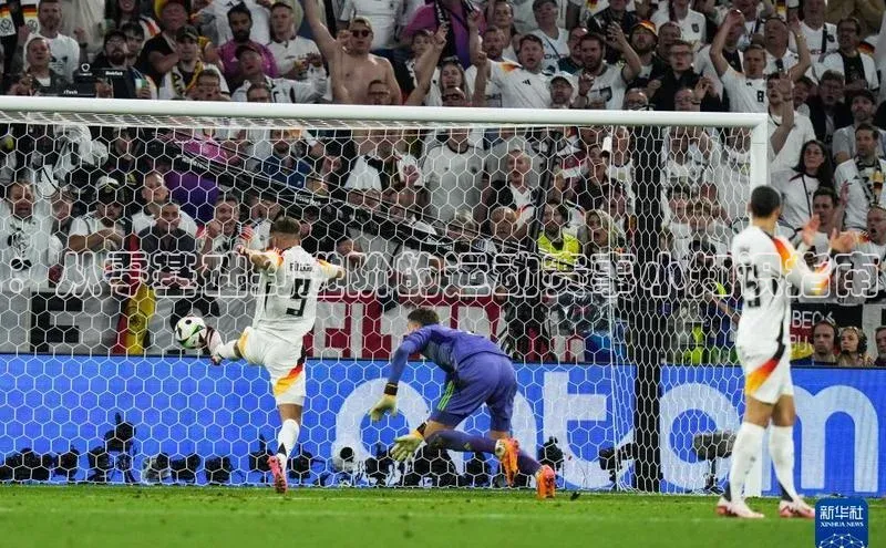 ：从零基础到进阶的运动赛事小知识指南