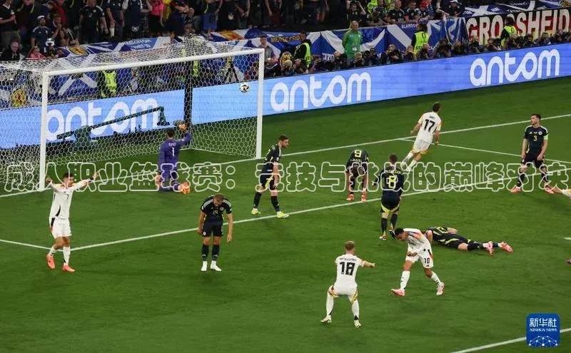 成人职业篮球赛：竞技与挑战的巅峰对决