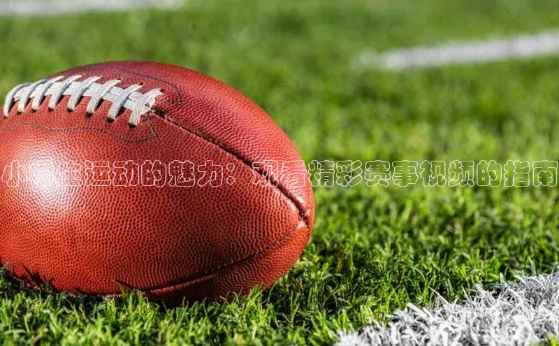 小学生运动的魅力：观看精彩赛事视频的指南