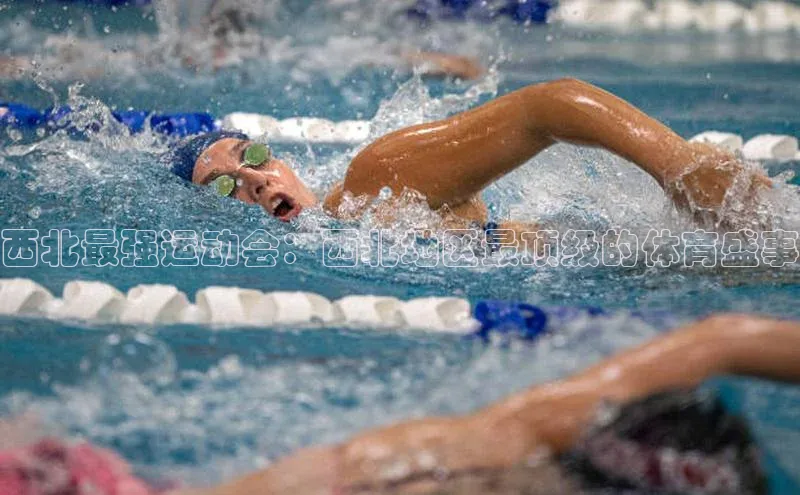 西北最强运动会：西北地区最顶级的体育盛事