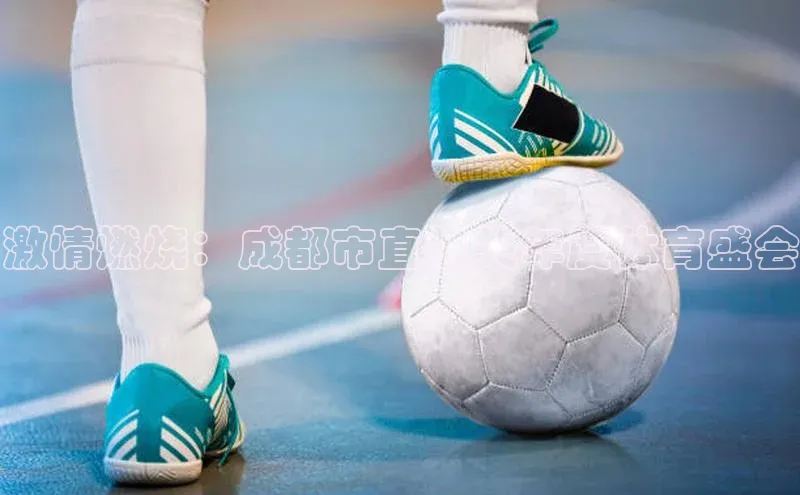 激情燃烧：成都市直机关年度体育盛会