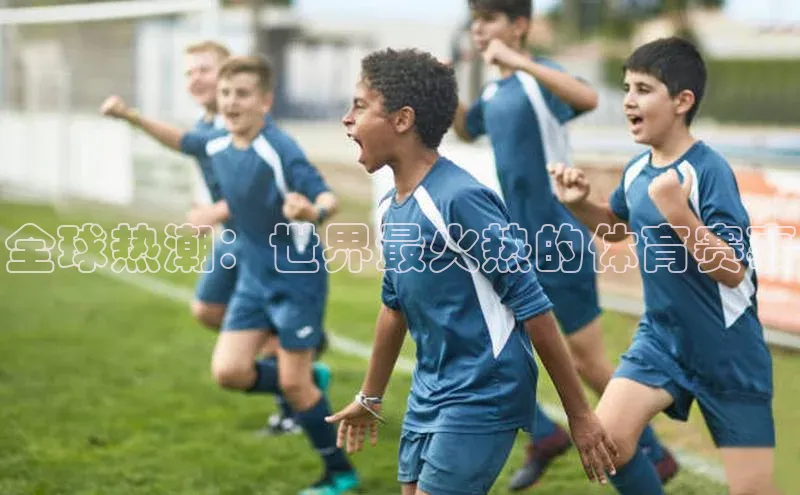 全球热潮：世界最火热的体育赛事