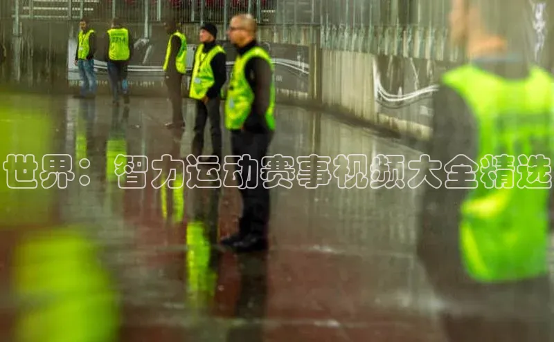 世界：智力运动赛事视频大全精选