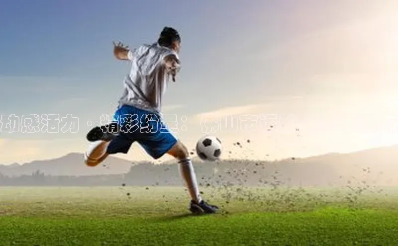 动感活力·精彩纷呈：佛山市运动会赛事亮点