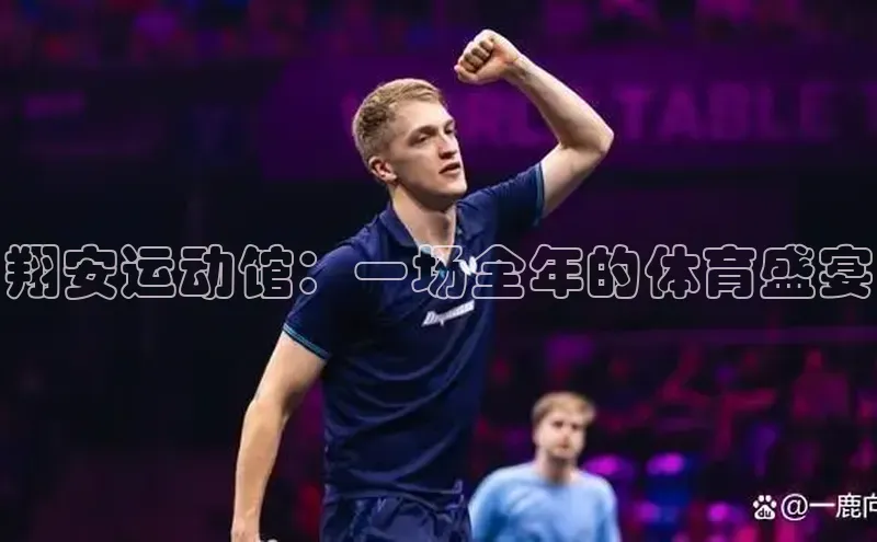 翔安运动馆：一场全年的体育盛宴